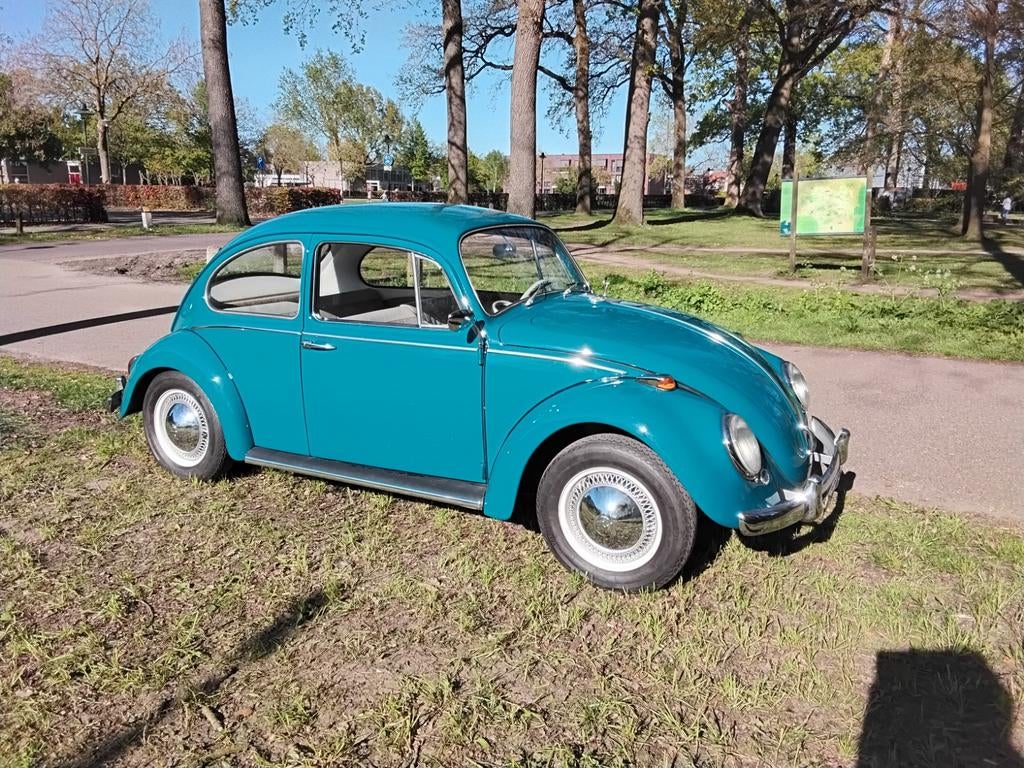 Prachtige gerestaureerde VW kever 1200  uit 1965 Oldtimer, Achterwielaandrijving, Beetle (Kever), Blauw, 29 pk