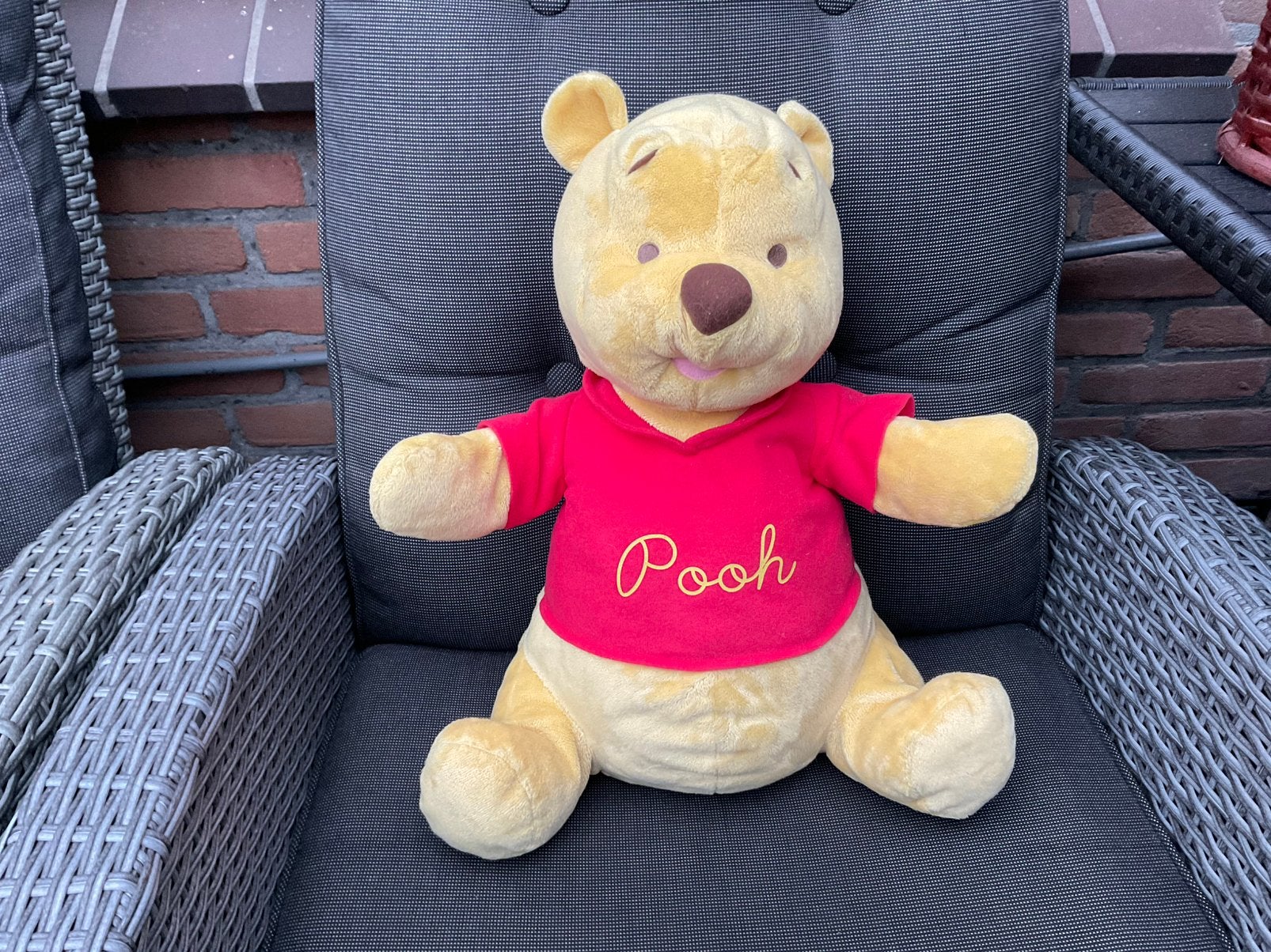 Zgan, niet kapot, Disney Fisher-Price Winnie the Pooh 40, Ophalen, Zo goed als nieuw, Stoffen beer, Overige merken