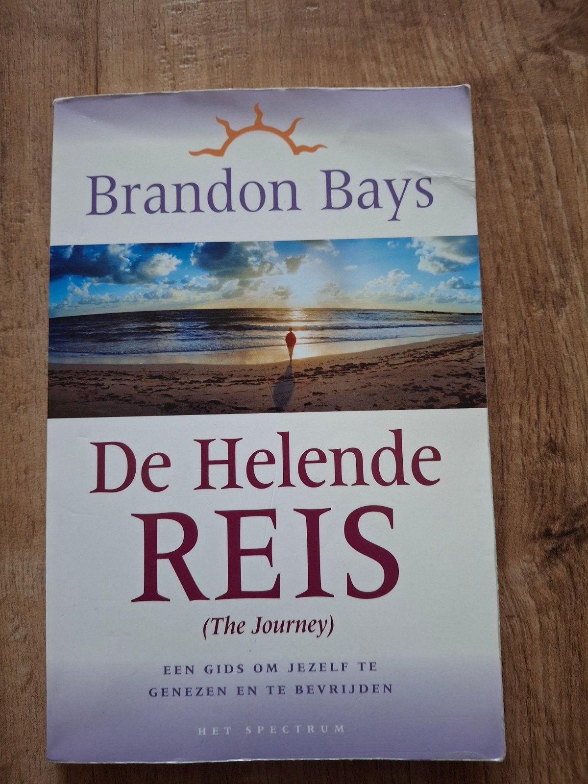 Brandon Bays - De helende reis, Boeken, Ophalen of Verzenden, Zo goed als nieuw, Brandon Bays