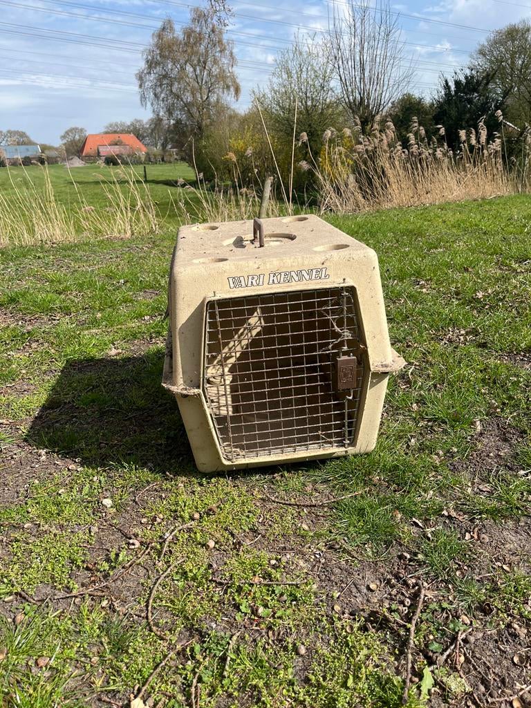 Honden bench, Dieren en Toebehoren, Hondenbenches, Ophalen of Verzenden, Gebruikt