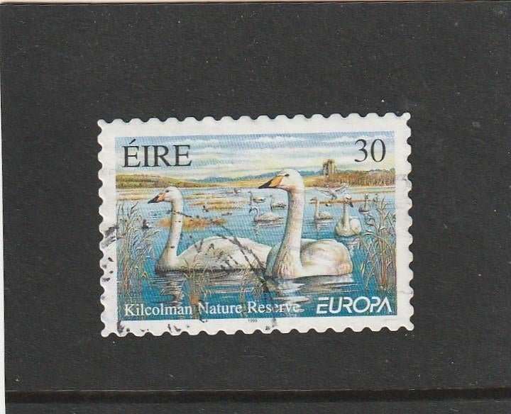 Ierland mi nr 1142 voor Liervogel, Ophalen of Verzenden, Ierland, Gestempeld