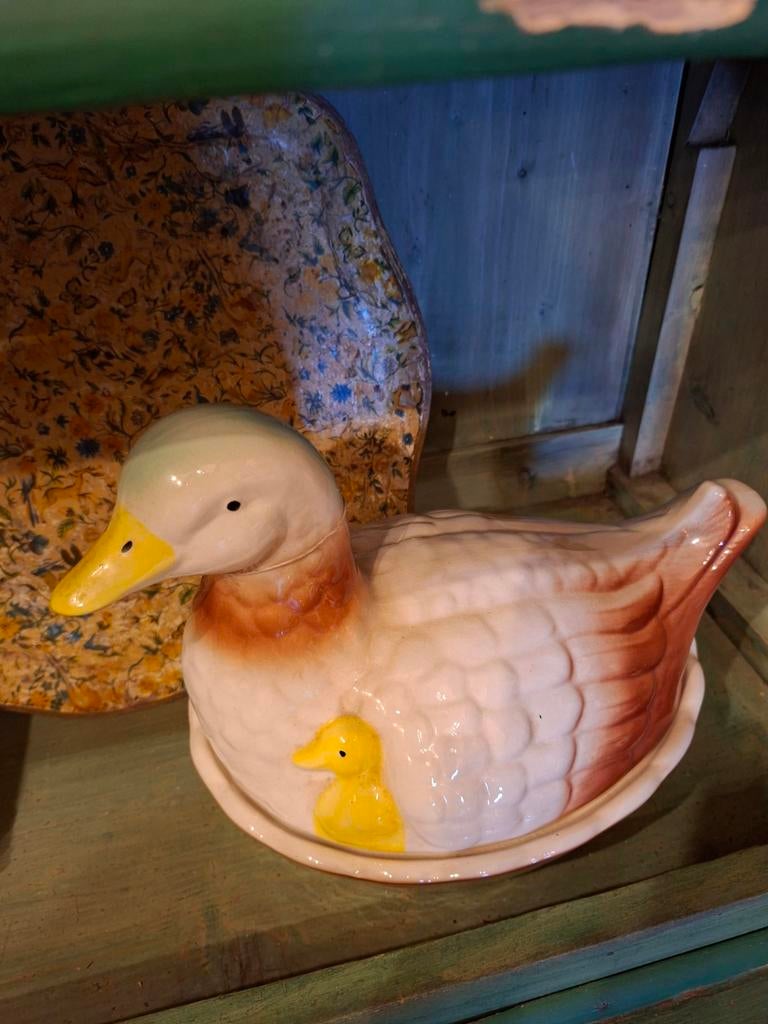 Pate eend, Ophalen of Verzenden