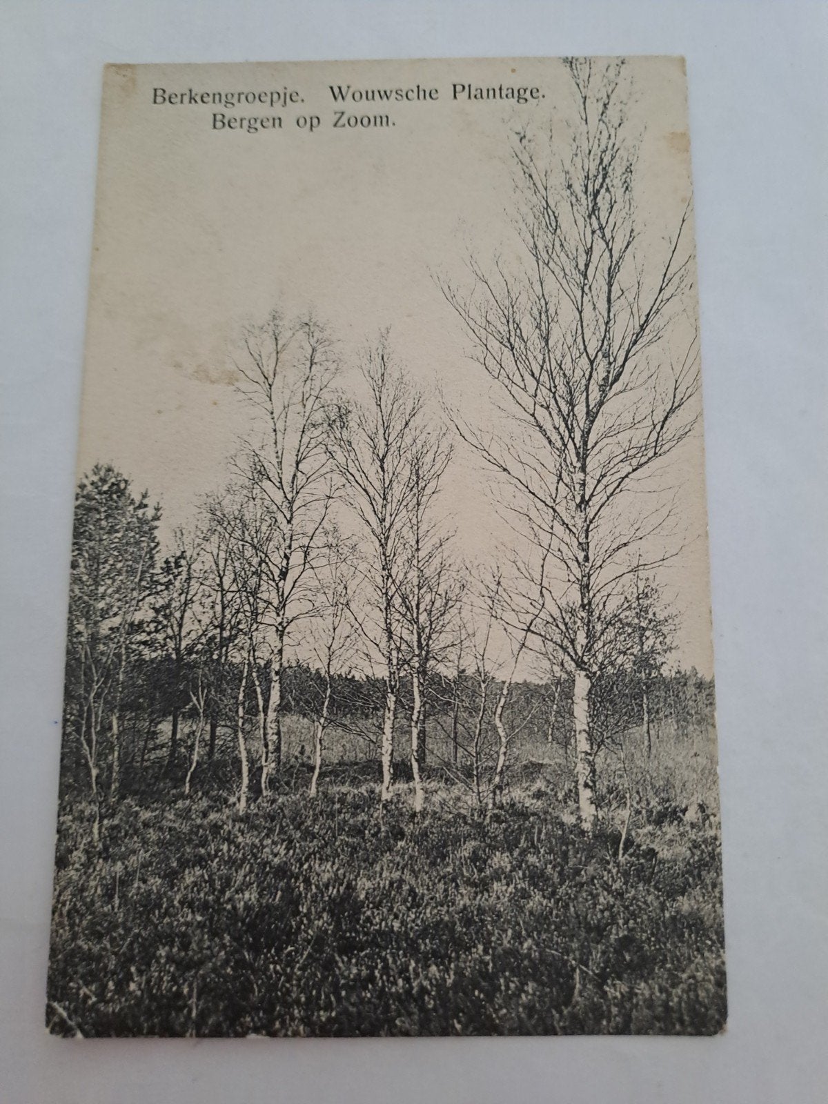 bergen op zoom, wouw, Ophalen of Verzenden, Voor 1920, Noord-Brabant