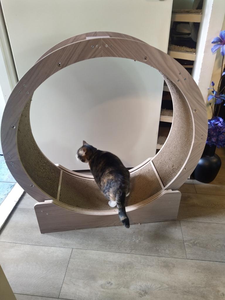 Katten loop wiel, Ophalen of Verzenden, Zo goed als nieuw, Overig speelgoed