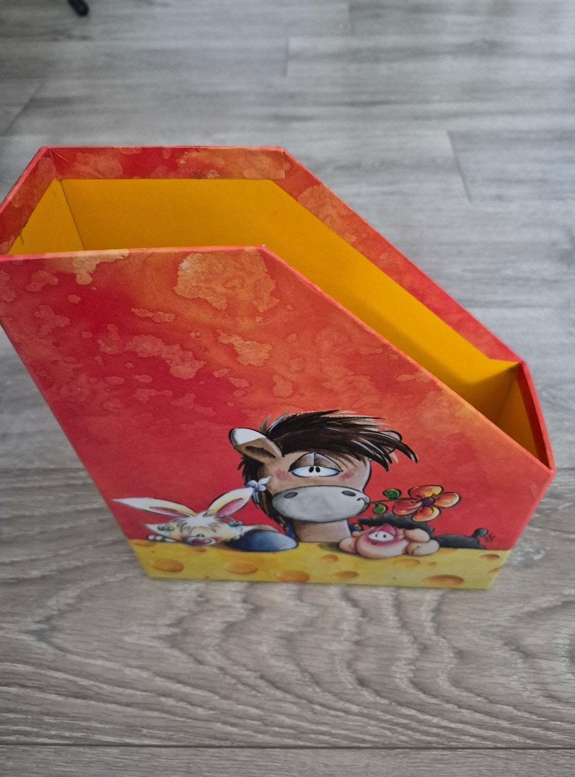 Diddl verzameldoos voor tijdschriften A4 formaat, Ophalen of Verzenden, Verschillende figuren, Zo goed als nieuw, Overige typen