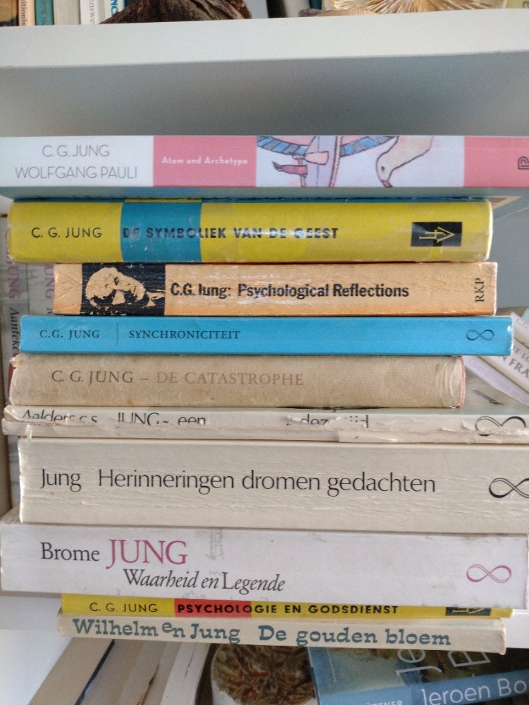Carl Jung en anderen, Boeken, Ophalen of Verzenden, Gelezen, Ontwikkelingspsychologie, Diverse auteurs