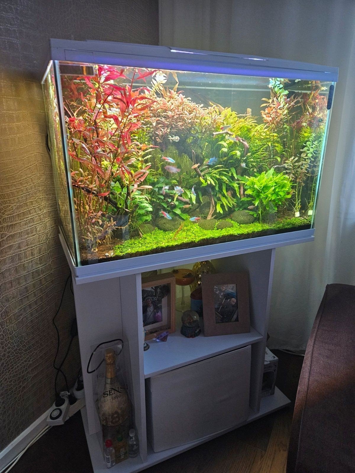 superfish start 120, Ophalen, Zo goed als nieuw, Leeg aquarium