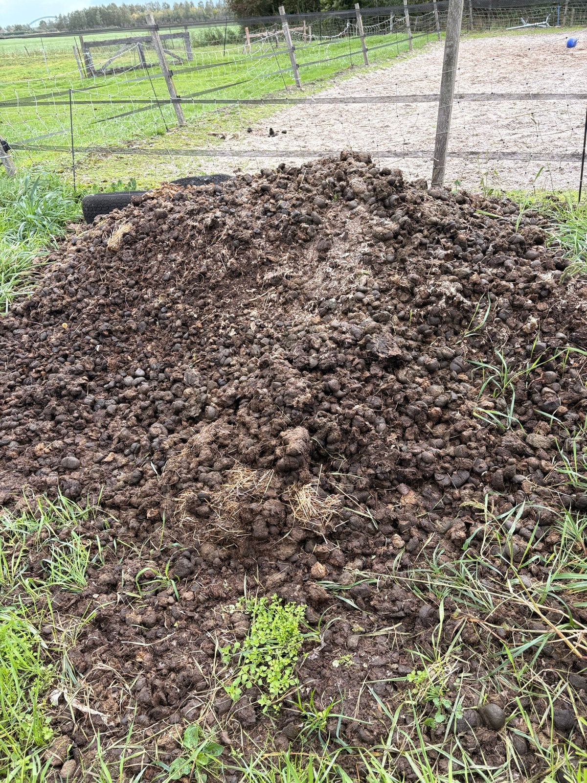 Gratis paardenmest af te halen in Culemborg, Ophalen, Mest
