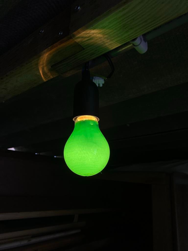 16 Gekleurde Gloeilampen (Geel, Rood, Groen, Blauw) 20-25W, Gebruikt, Minder dan 30 watt, Gloeilamp, E27 (groot)