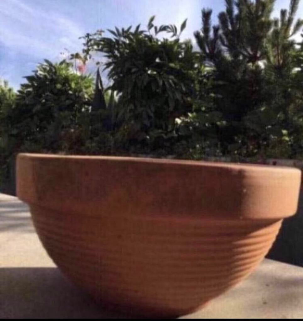 Lage terracotta schalen voor bonsai of vetplanten, Gebruikt, Ophalen of Verzenden, Balkon, Overige vormen