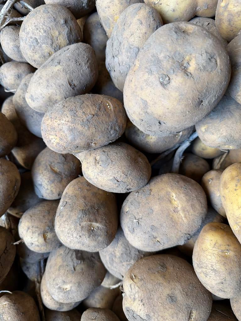 Te koop Fontane Frietaardappelen -direct van de Boer, Zakelijke goederen, Agrarisch | Aardappelen, Groenten, Fruit en Vlees, Ophalen
