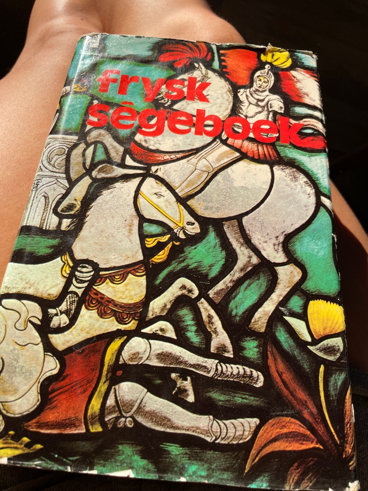 Frysk Sêgeboek - Klassieke Friese sagen, Boeken, Ophalen of Verzenden, Gelezen, Nederland
