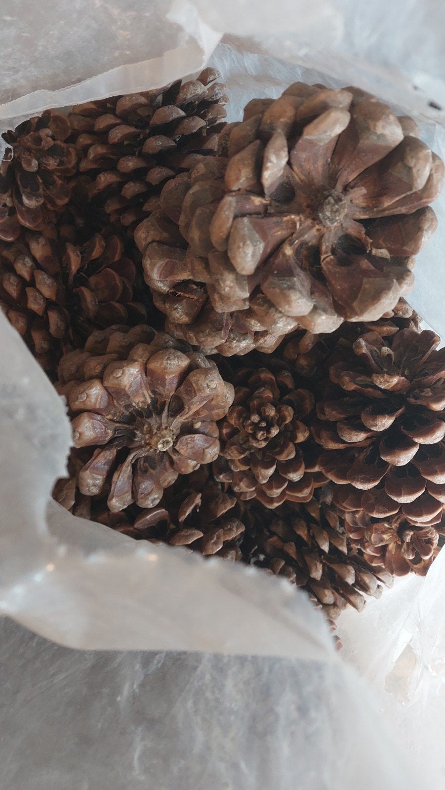 Decoratieve dennenappels - Natuurlijke decoratie, Huis en Inrichting, Ophalen, Gebruikt, Landelijk, Natuurlijk materiaal