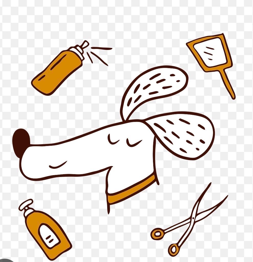 Honden plukker aangeboden, Ophalen