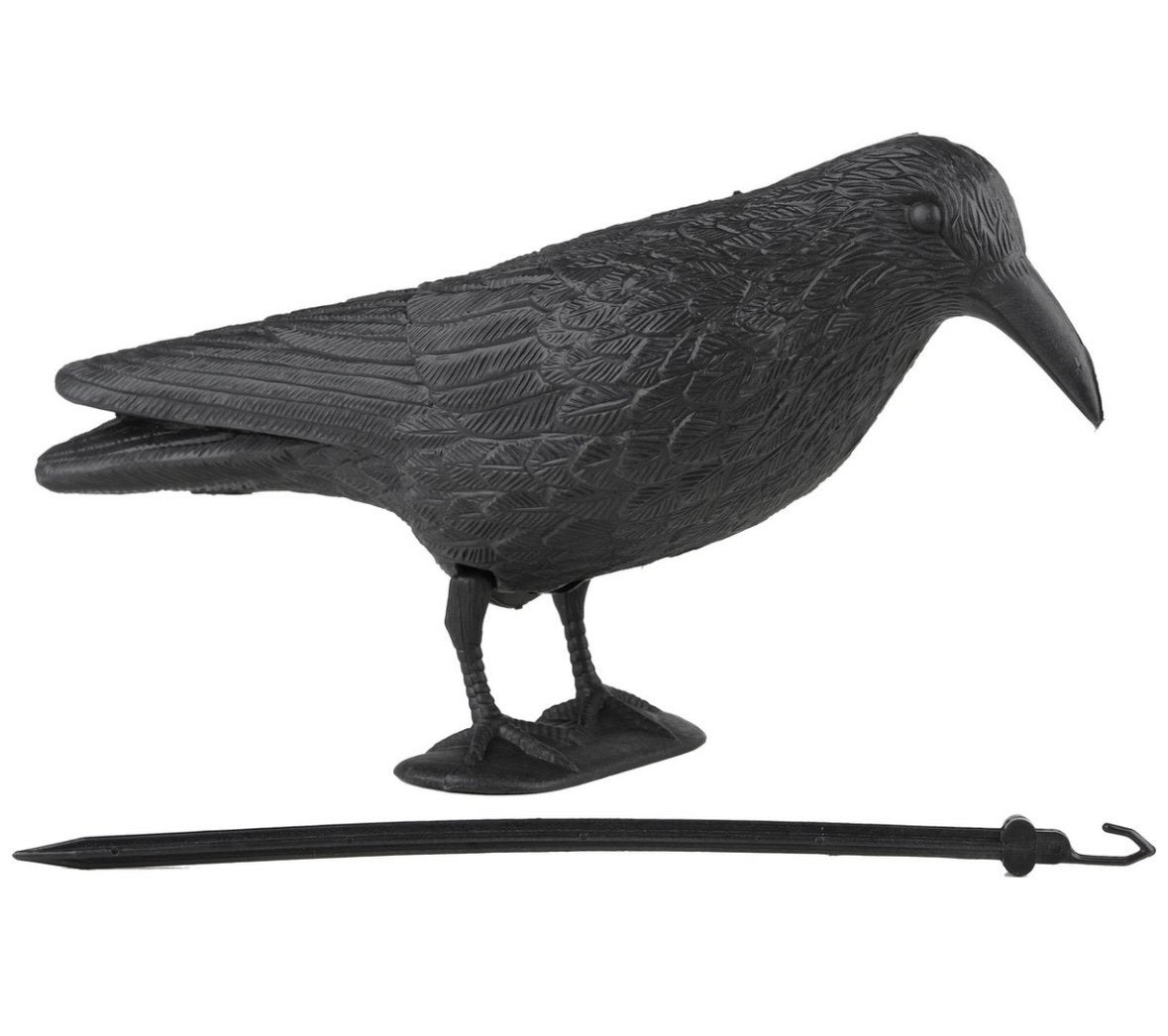 Vogelverschrikker gratis, Ophalen, Nieuw