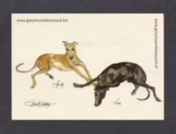 Greyhound Hazewindhonden Speedy, Ophalen of Verzenden, 1980 tot heden, Hond of Kat