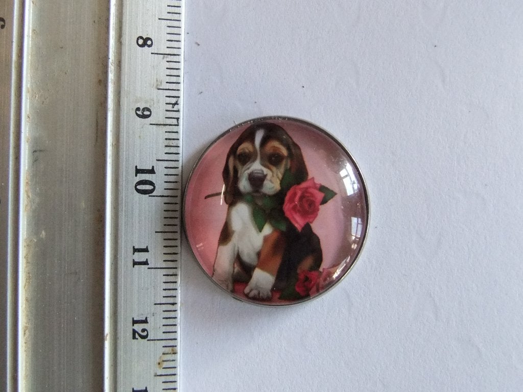 Leuke button/speldje met beagle puppy en roos, Verzamelen, Speldjes, Pins en Buttons, Verzenden, Nieuw, Dier of Natuur, Button