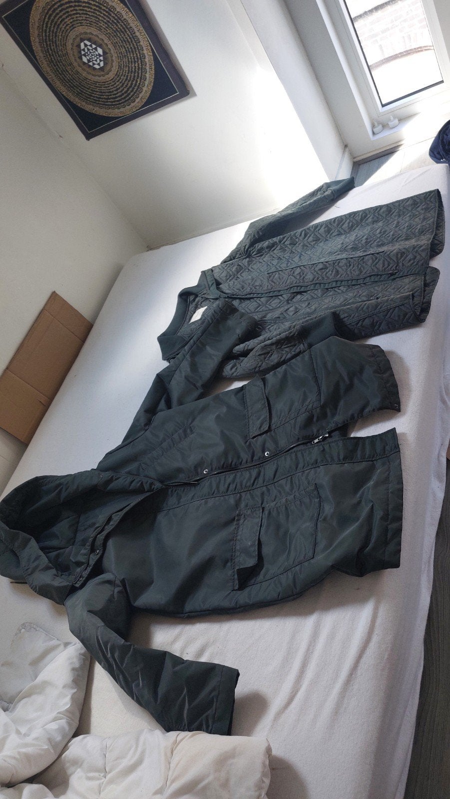 Heerlijke warme, waterdichte winterjas - Groen (M/L), Kleding | Dames, Maat 42/44 (L), Sissy-Boy, Ophalen of Verzenden, Gedragen