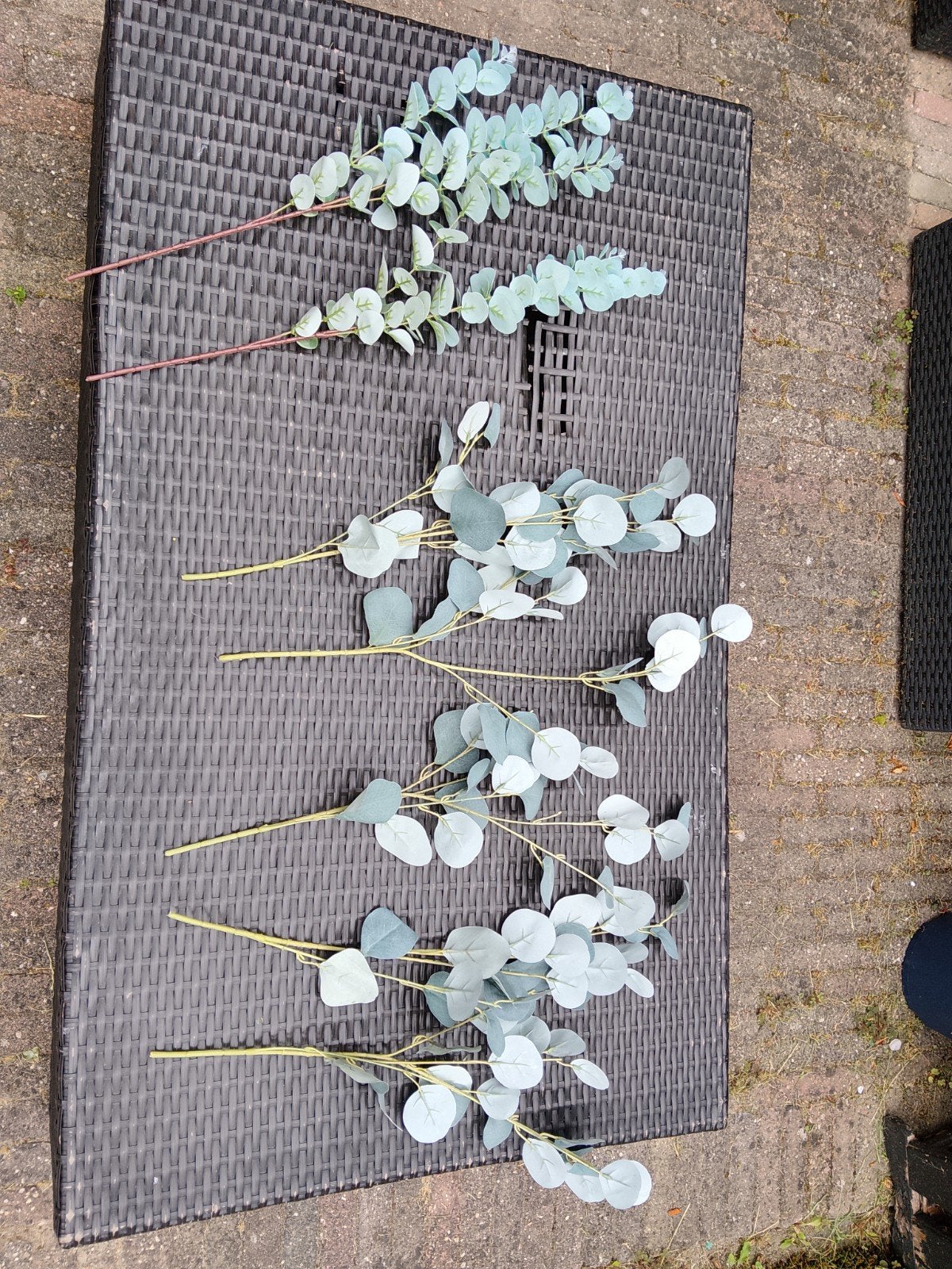 Kunst Eucalyptus Takken - Set van 7 takken, Ophalen, Kunststof, Kunsttak, 65 cm