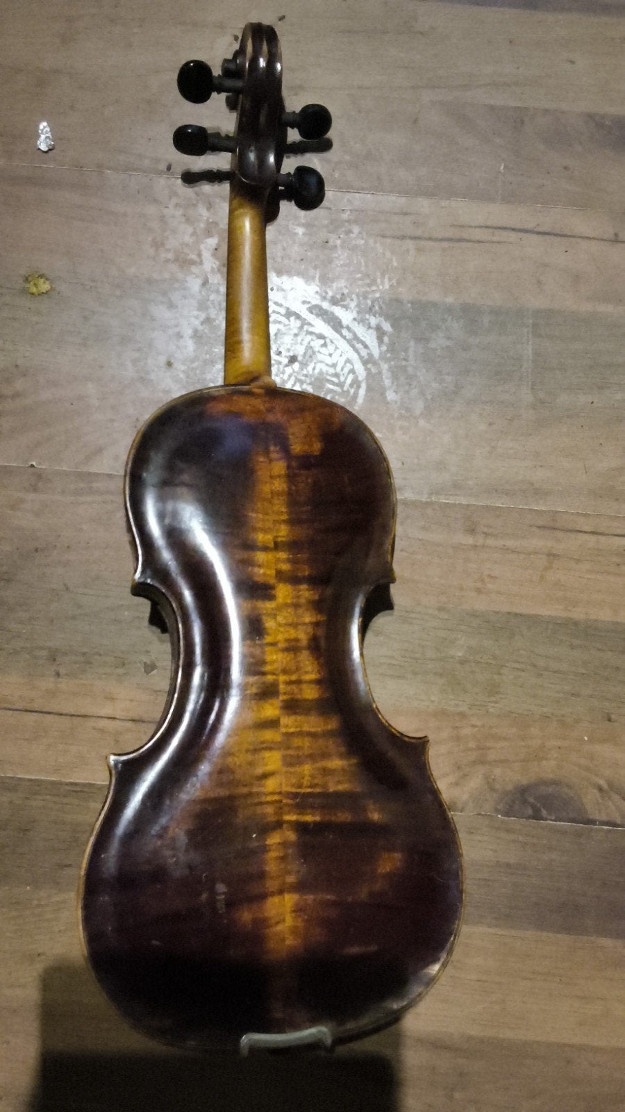 Unieke 7/8 Stainer Damesviool uit 1720 met certificaat, Muziek en Instrumenten, Strijkinstrumenten | Violen en Altviolen, Ophalen
