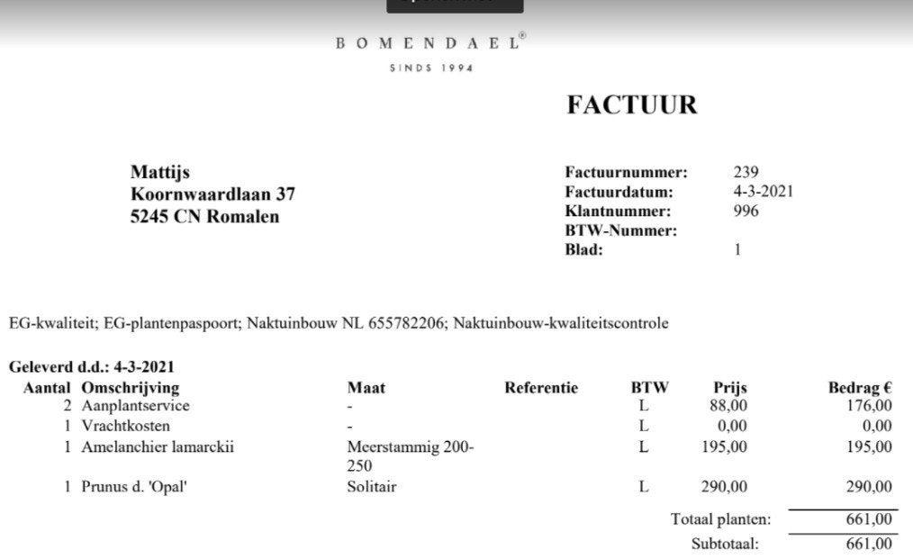 Sfeervolle Pruimenboom 25jr, Ophalen, Lente, 250 tot 400 cm, Pruimenboom