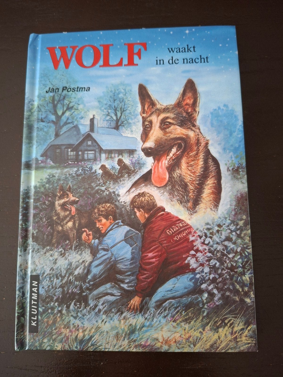 Wolf waakt in de nacht - Jan Postma (Kluijtman), Ophalen of Verzenden, Zo goed als nieuw, Jan Postma, Fictie algemeen