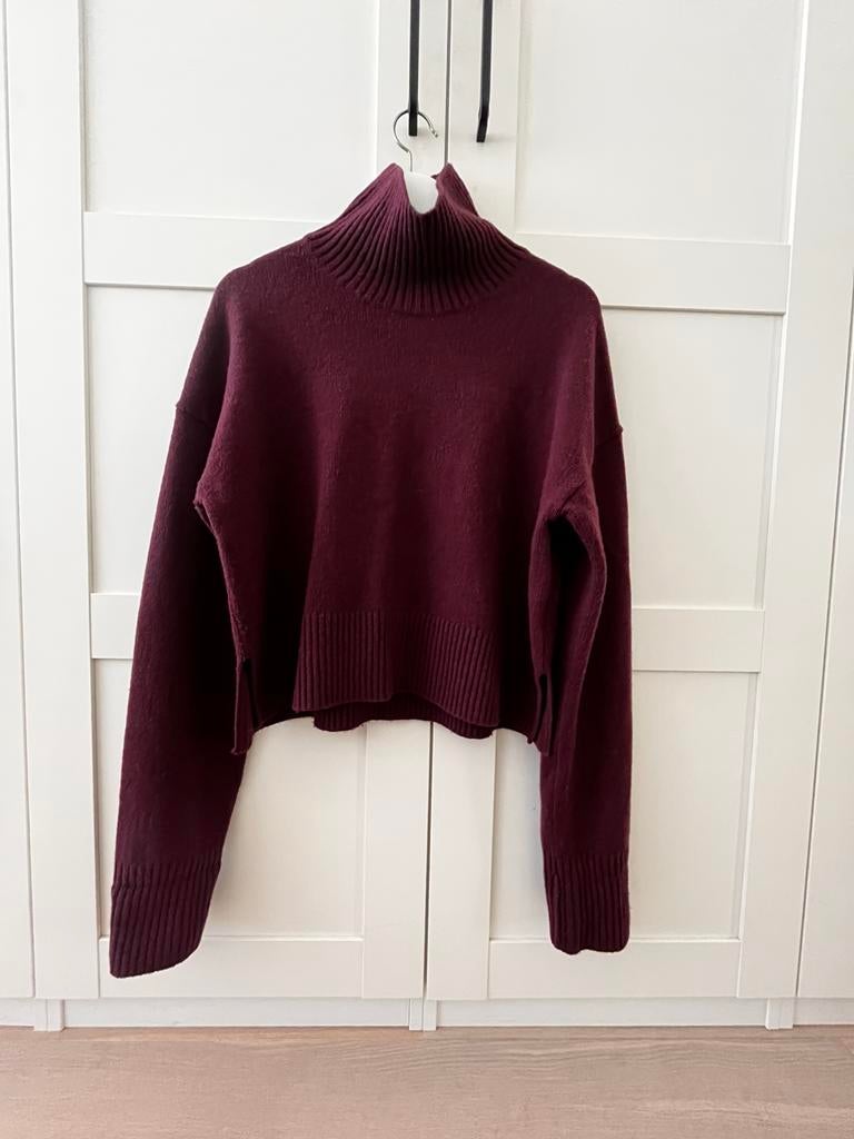 Arket Turtle Neck Sweater, Ophalen of Verzenden, Zo goed als nieuw, Muts