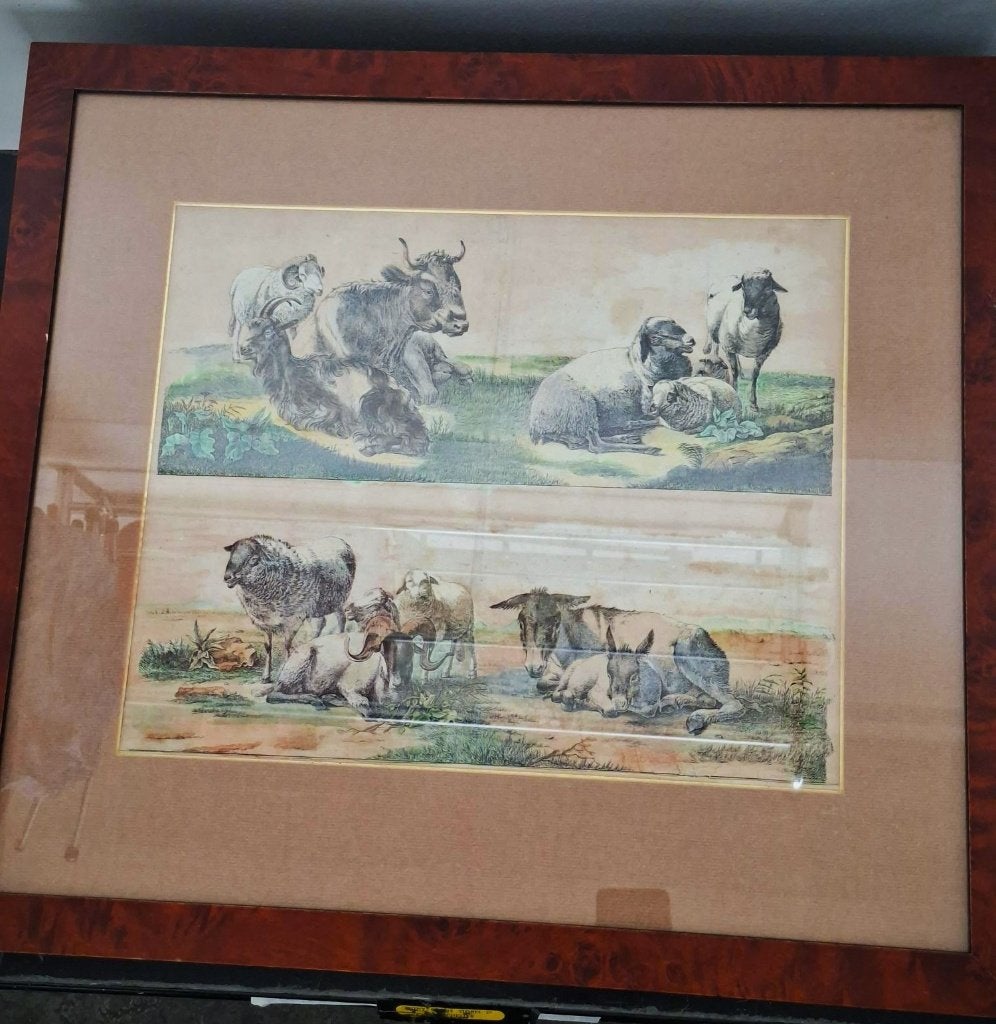 vintage ingelijste gravure / lithografie boerderijdieren, Antiek en Kunst, Kunst | Etsen en Gravures, 54 cm, Ingelijst, 1800 - 1899