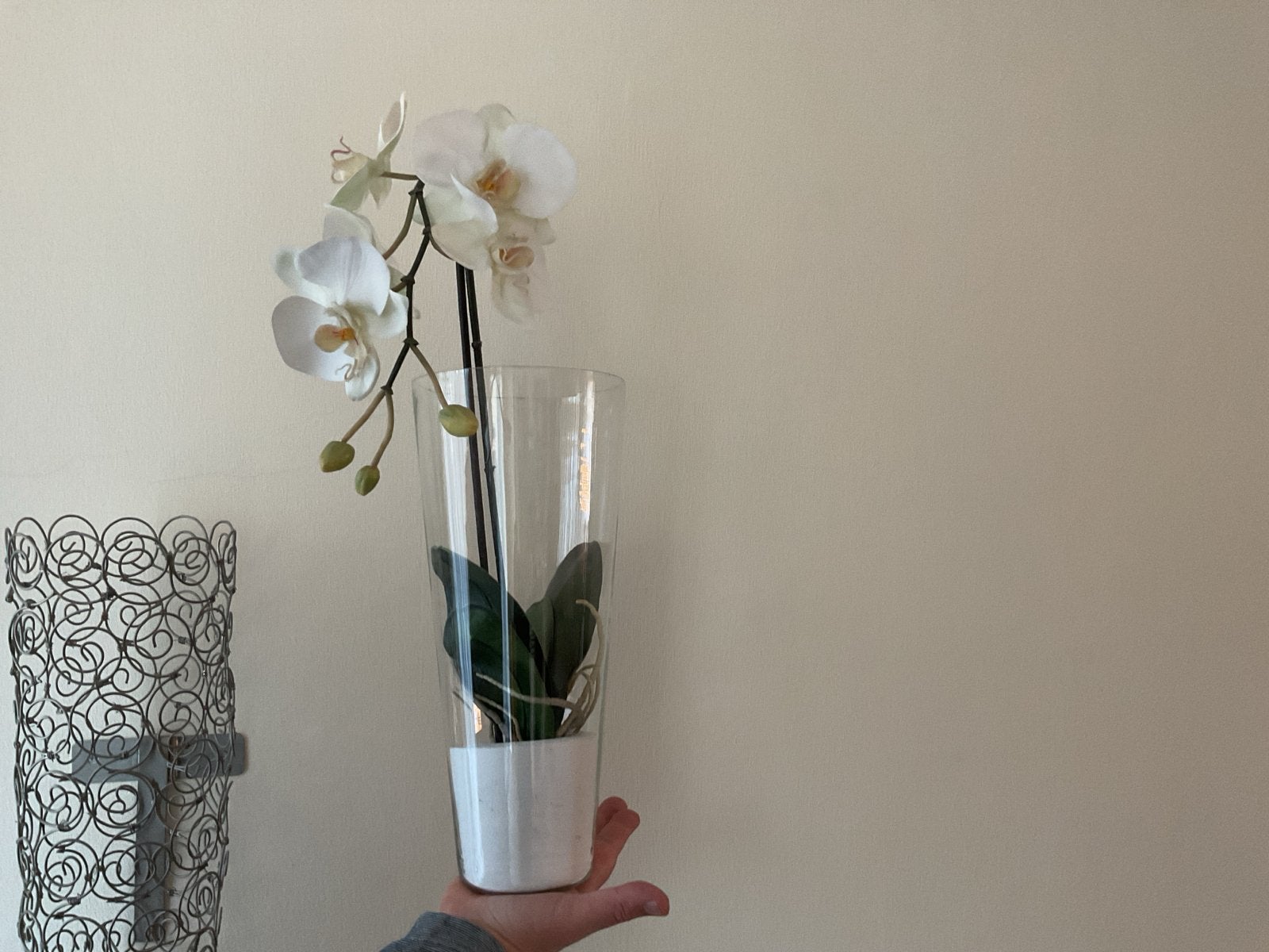 Wanddecoratie: Glazen Vazen met Kunst Orchideeën (2 stuks), Ophalen, Decoratieobject, Zo goed als nieuw, Glas