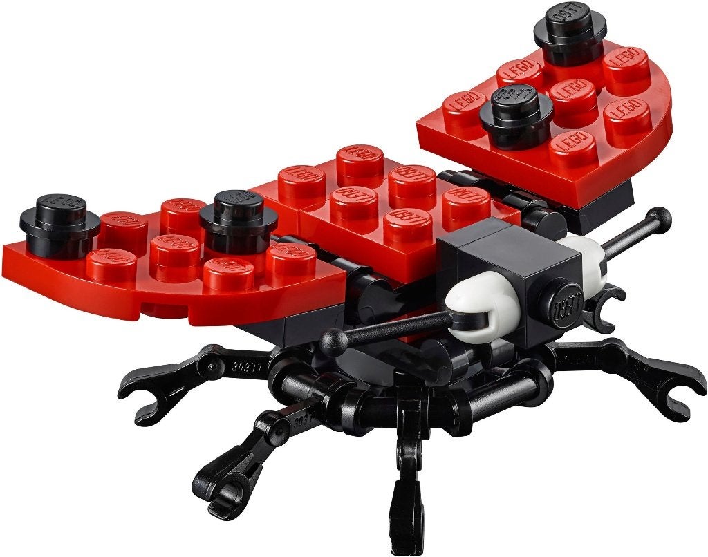 40324 - Monthly Build: Lady Bird, Hello@support.lego.com, Lego, Nieuw, Ophalen of Verzenden