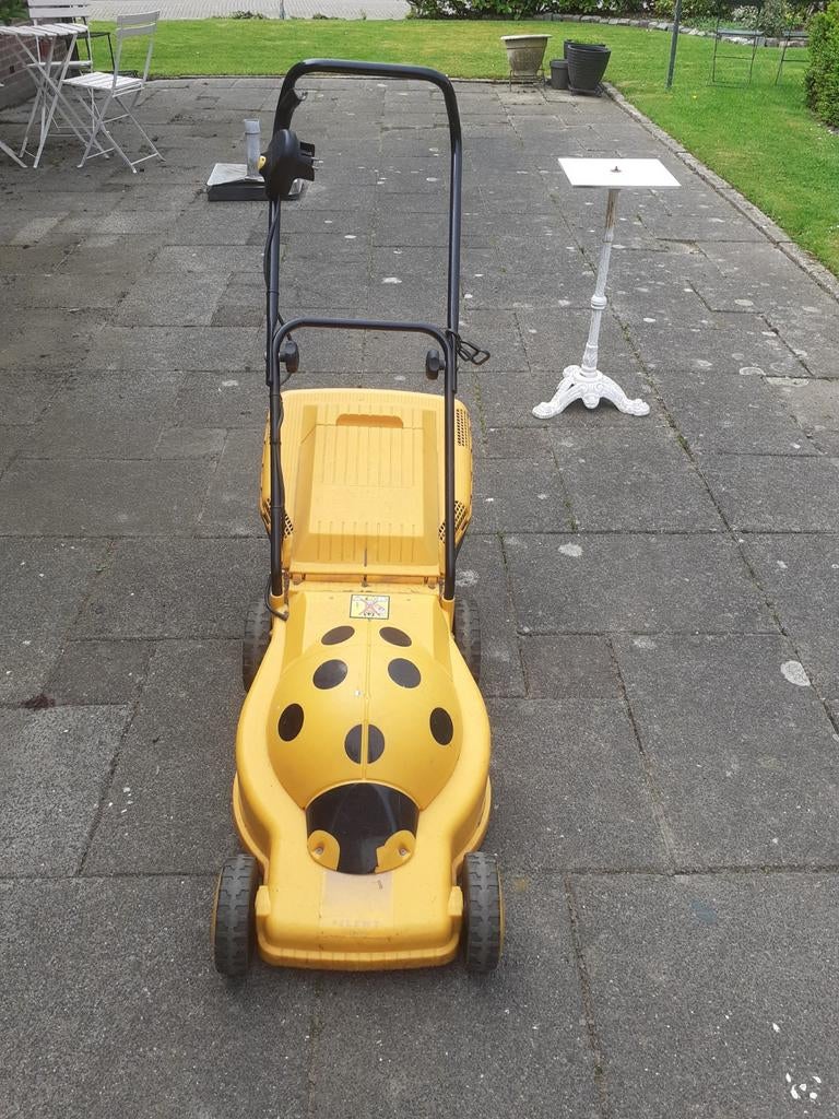 Grote elektr.Grasmaaier, Tuin en Terras, Ophalen, Gebruikt