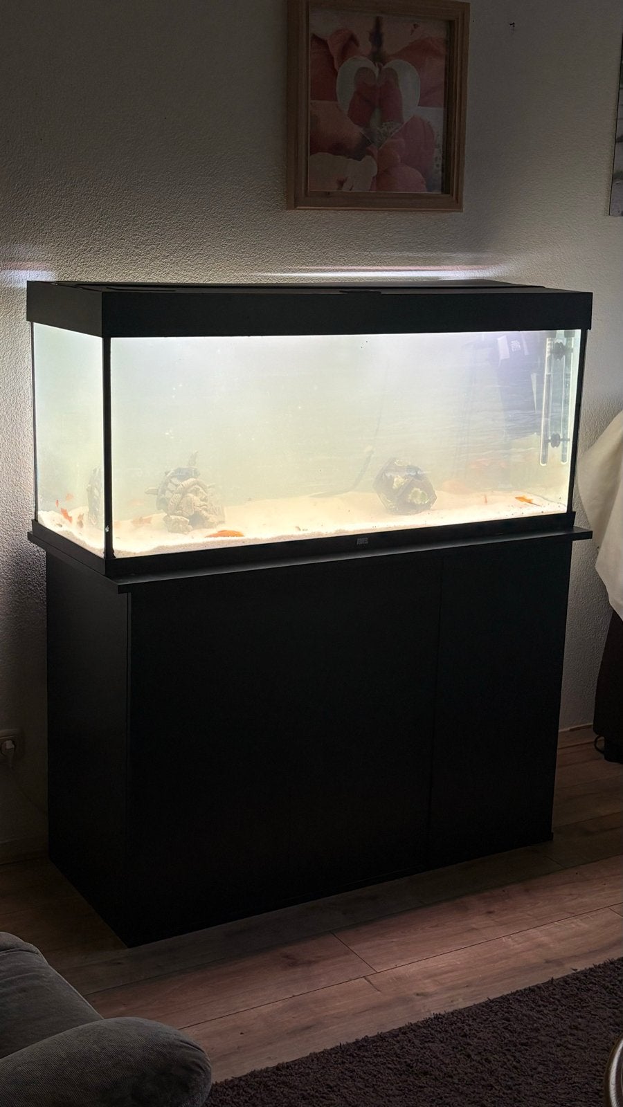 Juwel aquarium 240liter excl vissen etc, Ophalen, Gebruikt, Leeg aquarium, Juwel