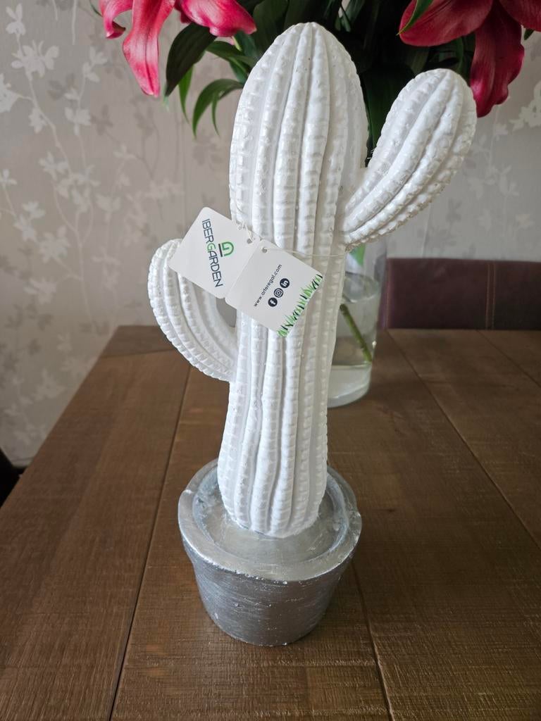 Nieuwe witte stenen cactus van Ibergarden, Ophalen of Verzenden, Nieuw, Wit, Steen/keramiek