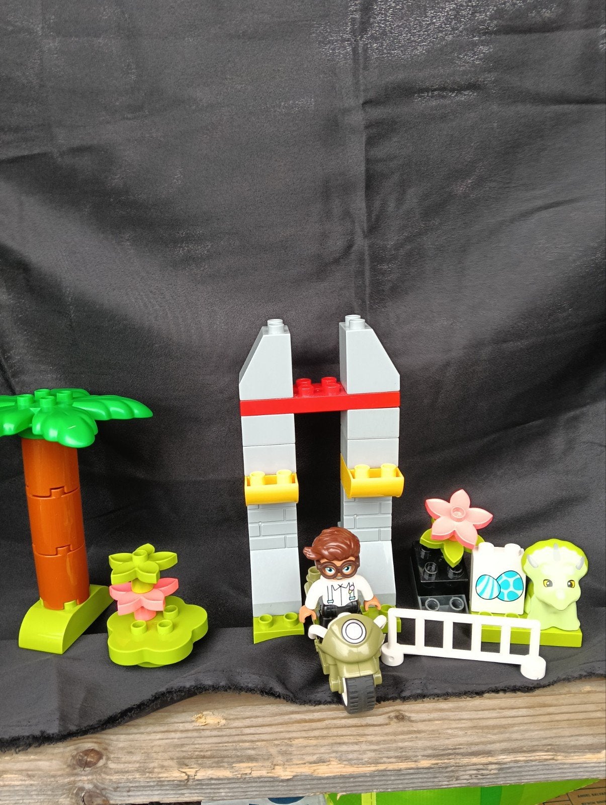LEGO Duplo Dino Set met figuur en accessoires, Kinderen en Baby's, Speelgoed | Duplo en Lego, Lego, Lieselotjetweedehandsspeelgoed@gmail.com