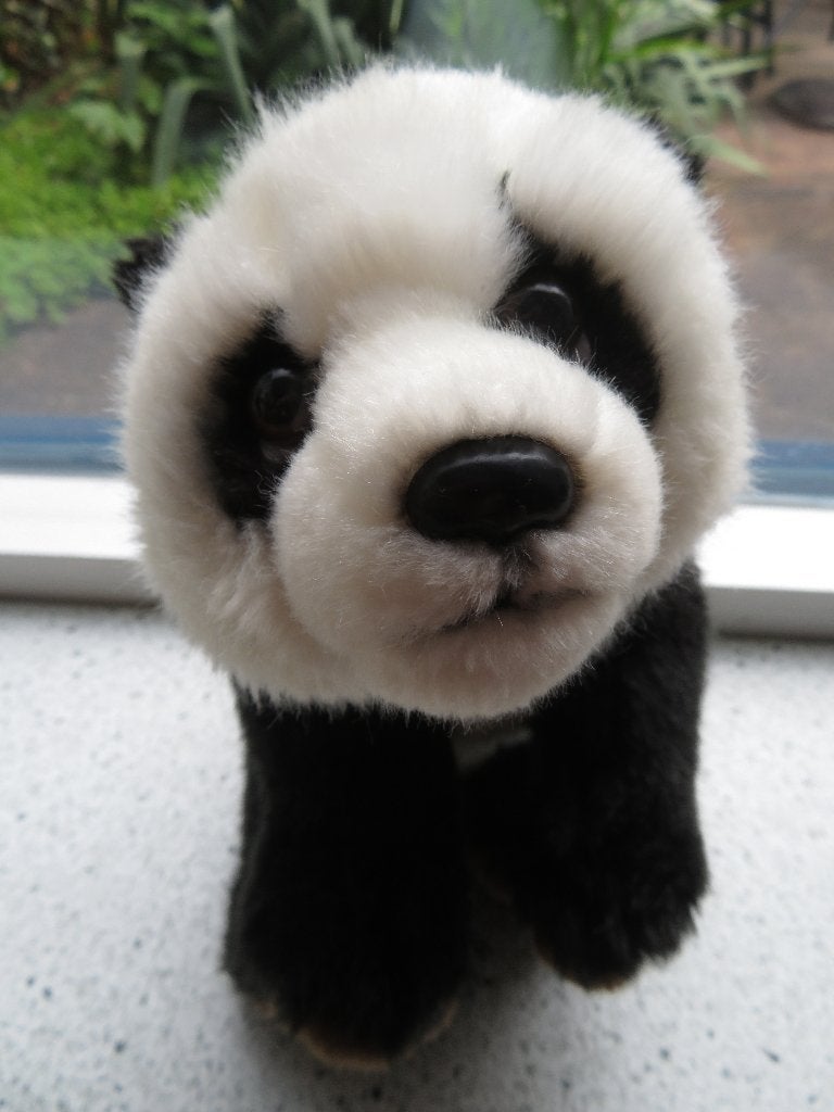 WWF Panda Knuffel - 27 cm met Korrelvulling, Overige merken, Beer, Wasbaar, Ophalen of Verzenden