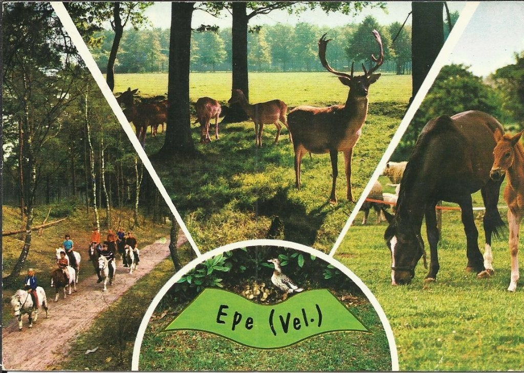 Epe    731, Ophalen of Verzenden, Voor 1920, Gelderland