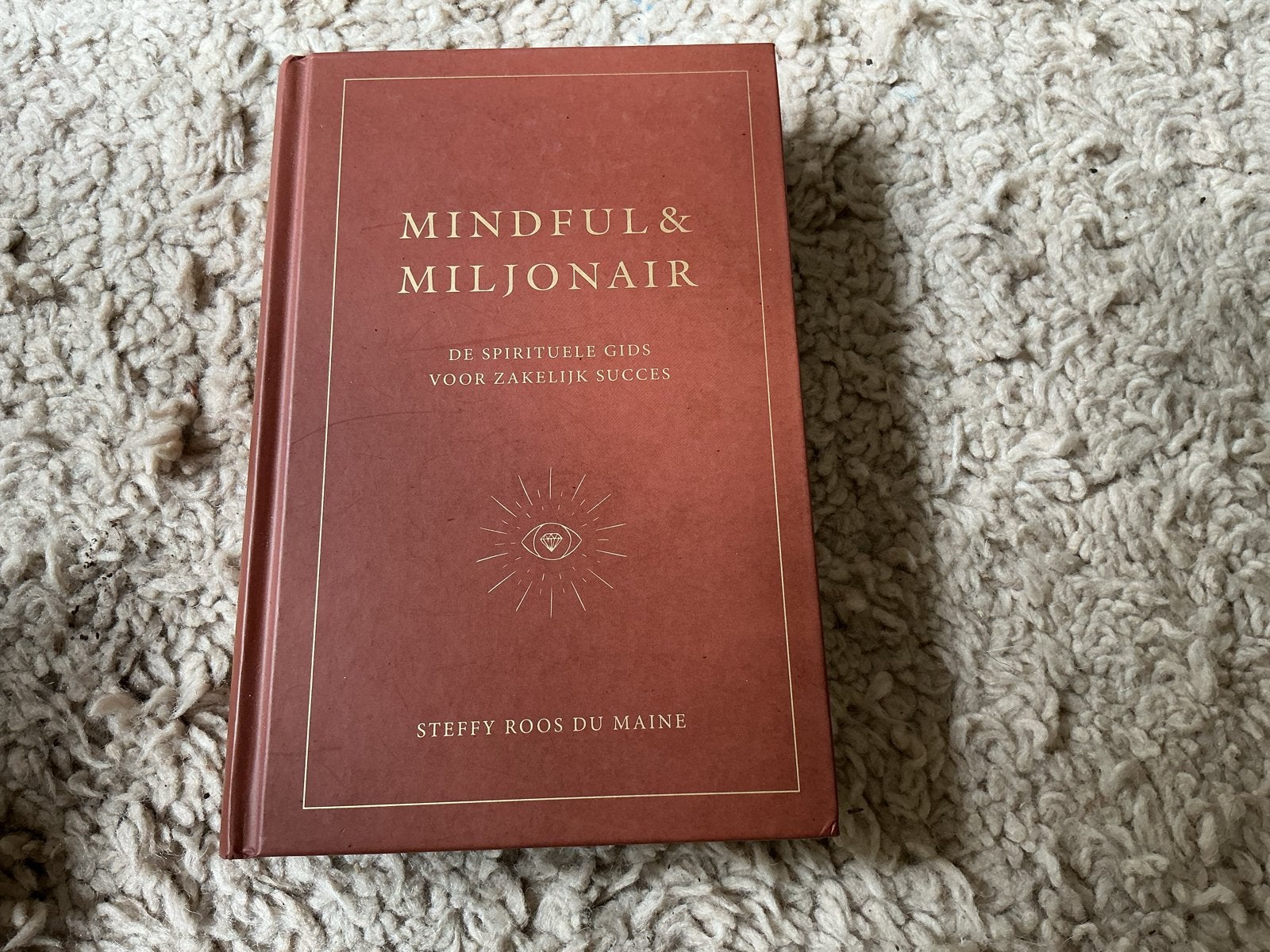 Mindful & Miljonair: Spirituele Gids voor Zakelijk Succes, Ophalen of Verzenden, Zo goed als nieuw, Spiritualiteit algemeen, Achtergrond en Informatie