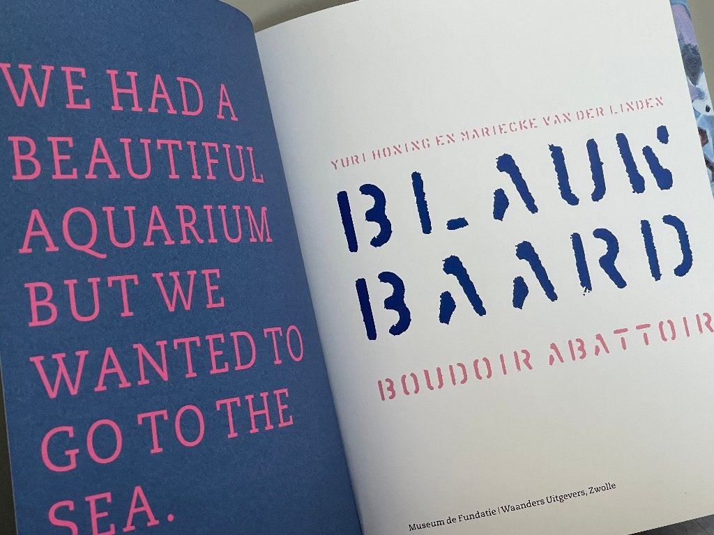 Blauwbaard Boudoir Abattoir (De Fundatie Zwolle) 2022, Ophalen of Verzenden, Nieuw, Schilder- en Tekenkunst