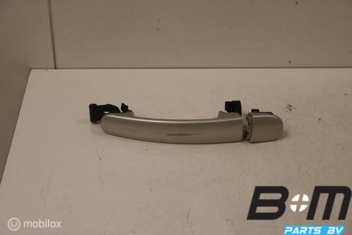 Portiergreep LA of RA VW Tiguan 5N LR7L, Gebruikt