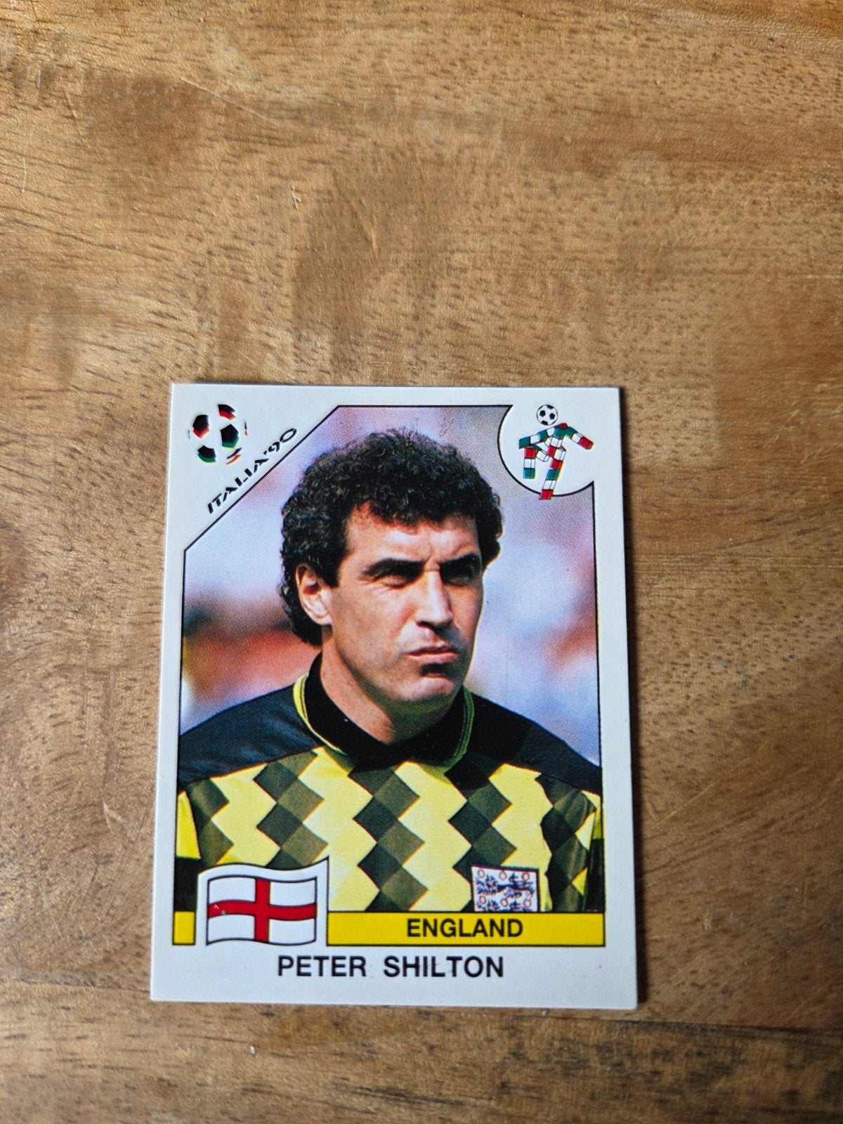 Panini WK 90, Ophalen of Verzenden, Zo goed als nieuw, Sticker