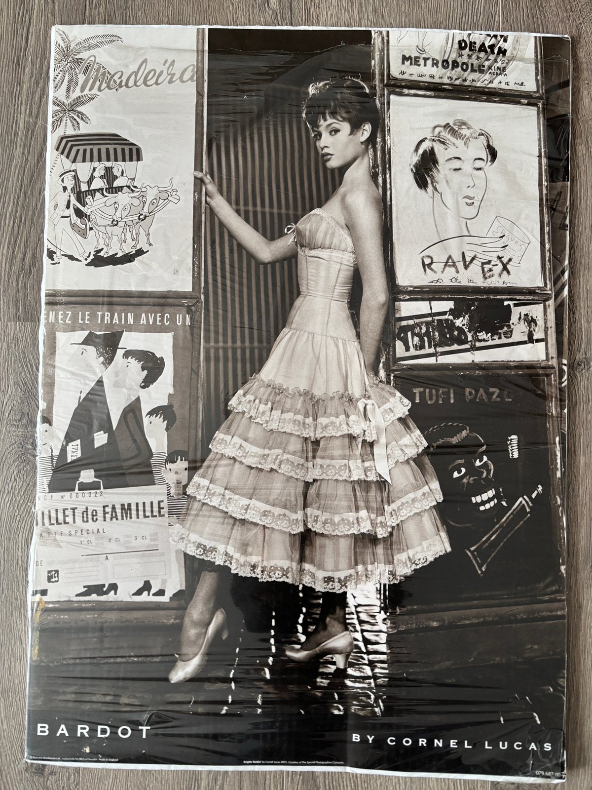 Foto poster van de Franse actrice Brigitte Bardot 50 x 70cm, Foto, Ophalen of Verzenden, Zo goed als nieuw, 1940 tot 1960