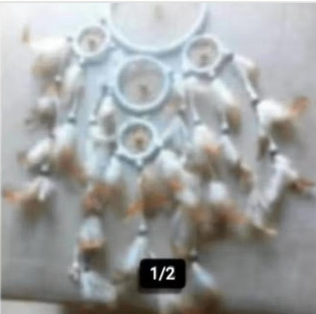 Dream Catcher witte/bruin veertjes., Wandhanger, Ophalen of Verzenden, Zo goed als nieuw, Natuurlijk materiaal