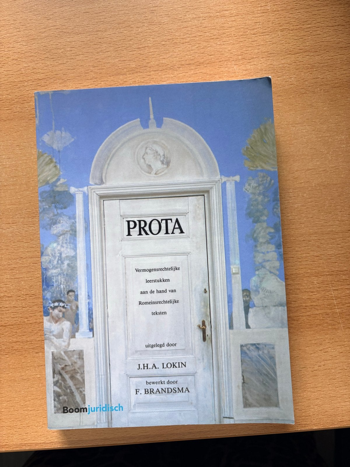 Prota: Vermogensrechtelijke leerstukken - Lokin/Brandsma, Ophalen of Verzenden, Gamma, Gelezen, WO