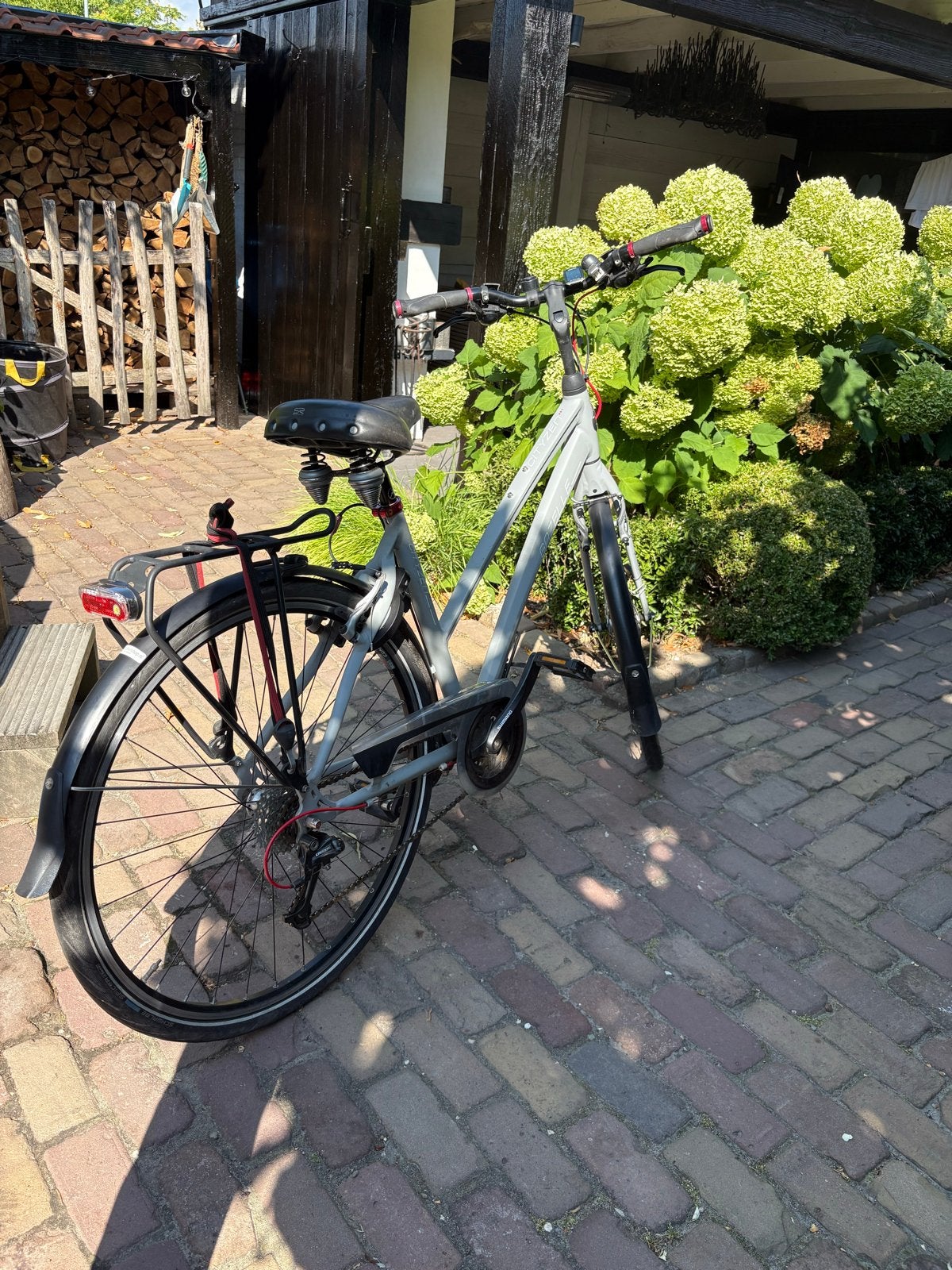 Damesfiets Cityzen met versnellingen en schijfremmen, Versnellingen, Schijfrem, Ophalen, Overige merken