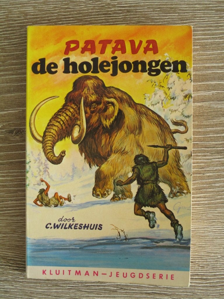 Patava de Holejongen - C. Wilkeshuis, Ophalen of Verzenden, Gelezen, Fictie algemeen