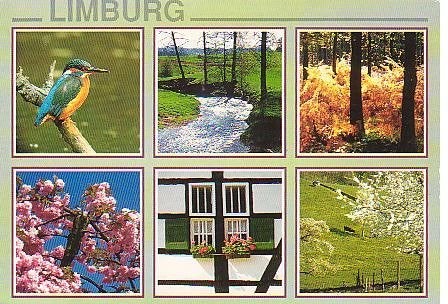 Ansichtkaart  	Limburg	6-luik	IJsvogel, Verzenden, 1980 tot heden, Gelopen, Limburg