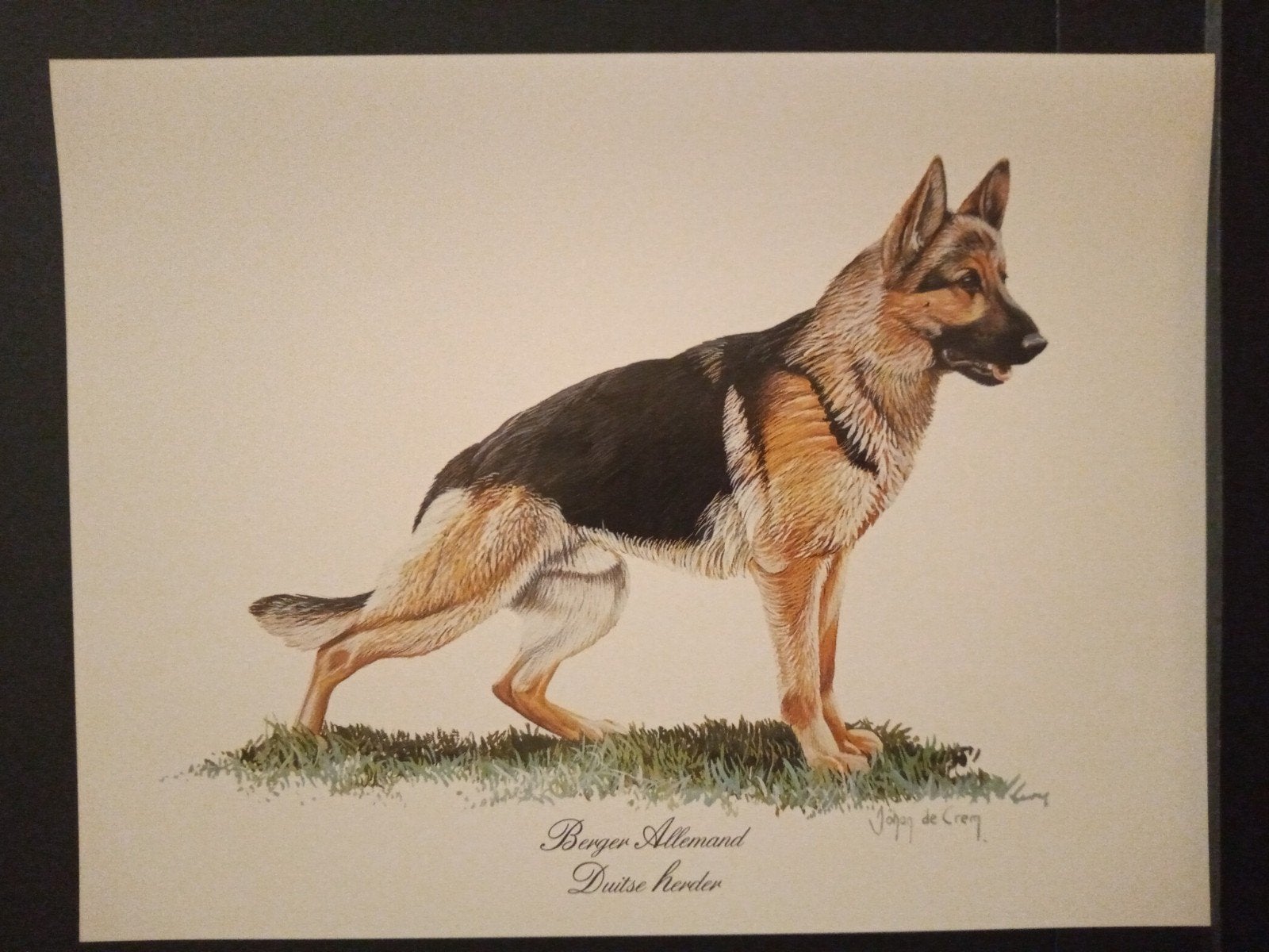 Duitse herder - kunstprent - Johan de Crem tekenaar, Verzenden, 1980 tot heden, Zo goed als nieuw, Dier