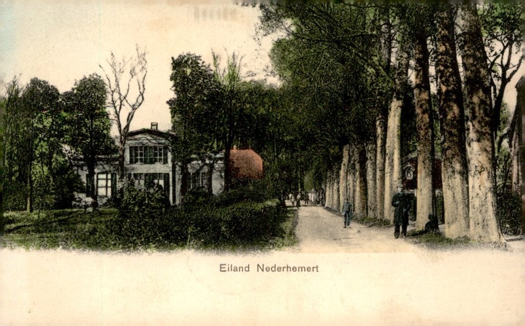 Nederhemert Eiland Nederhemert # 315, Verzenden, Voor 1920, Gelopen, Gelderland