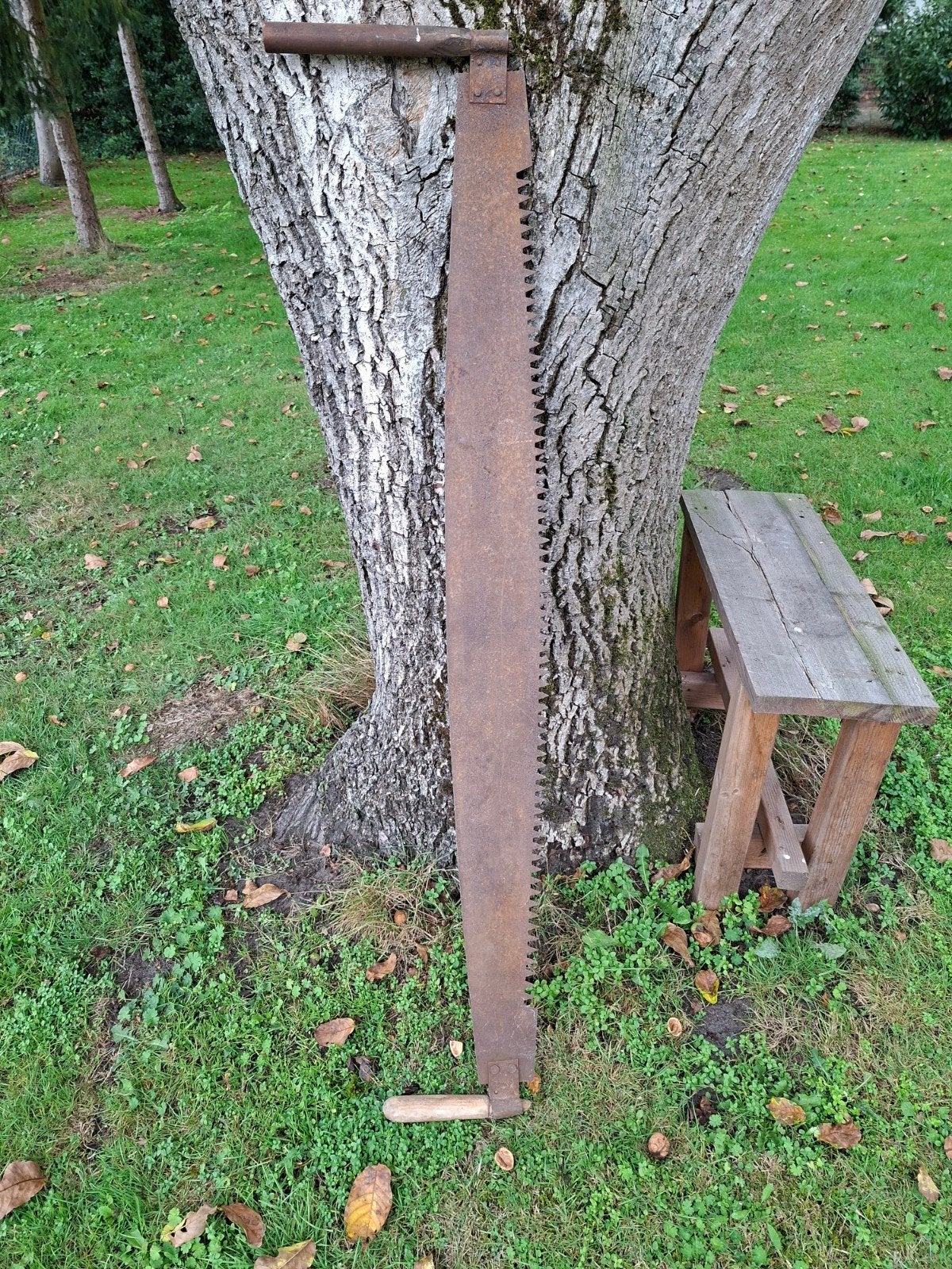 boomzaag / trekzaag, Ophalen of Verzenden