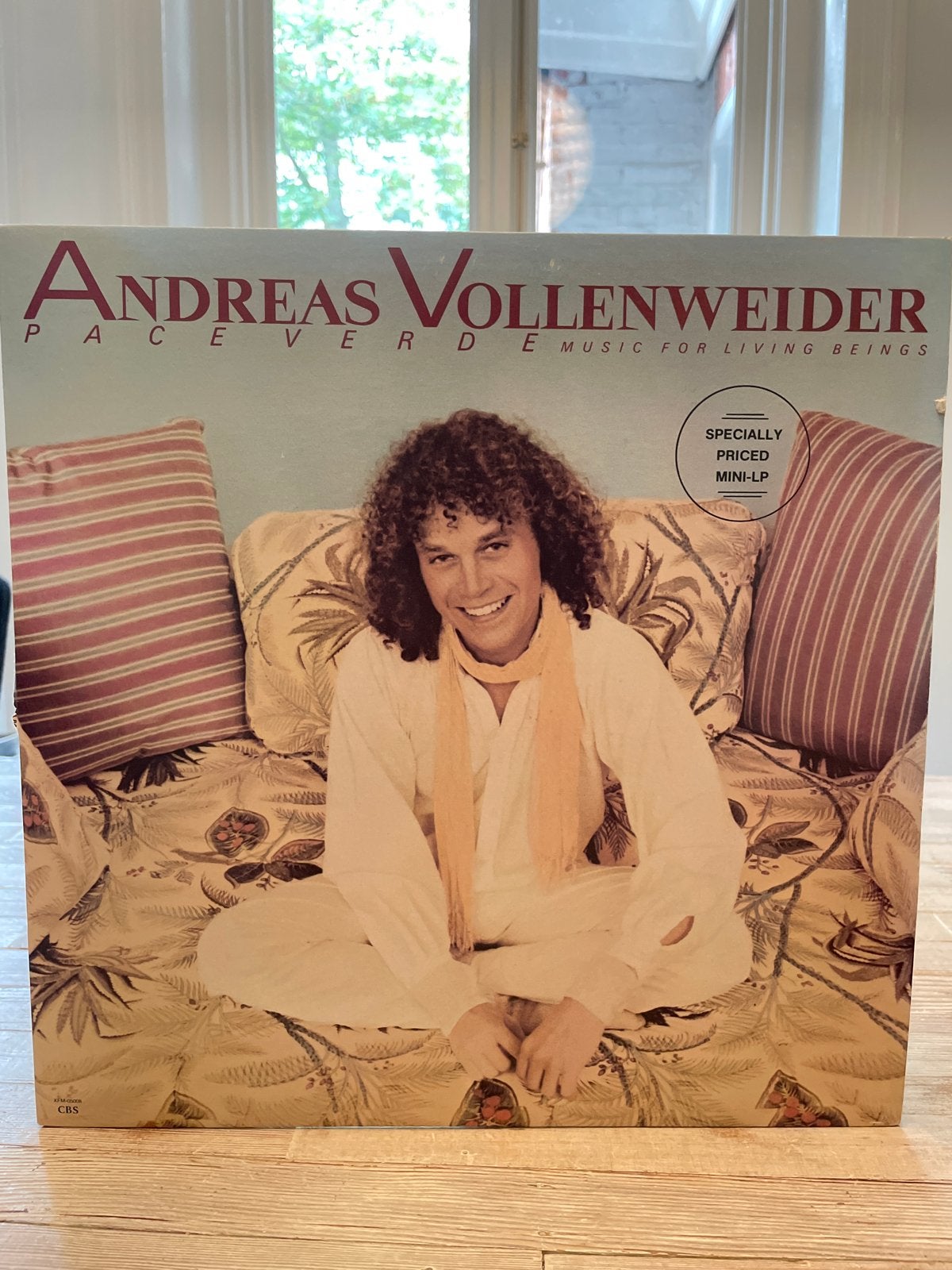 Andreas Vollenweider - Pace Verde (Mini-LP), LP, Gebruikt, Overige genres, Ophalen of Verzenden